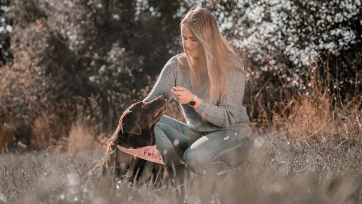 Tiere – Fotografie von Alex Krappmann, Bild 3 von 9